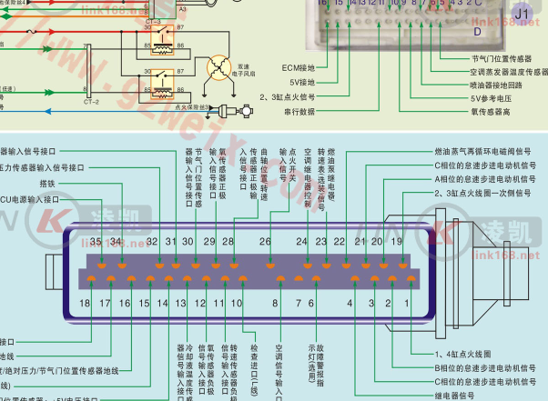 金杯海狮发动机针脚图