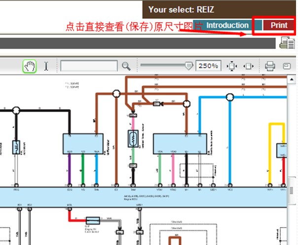 11年锐志发动机电路图