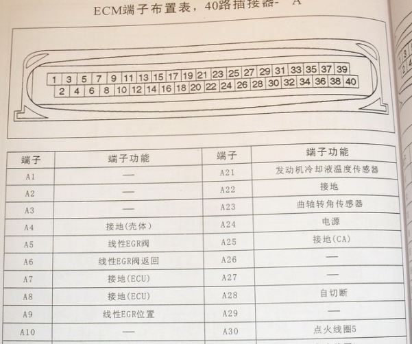 6VD1发动机端子资料