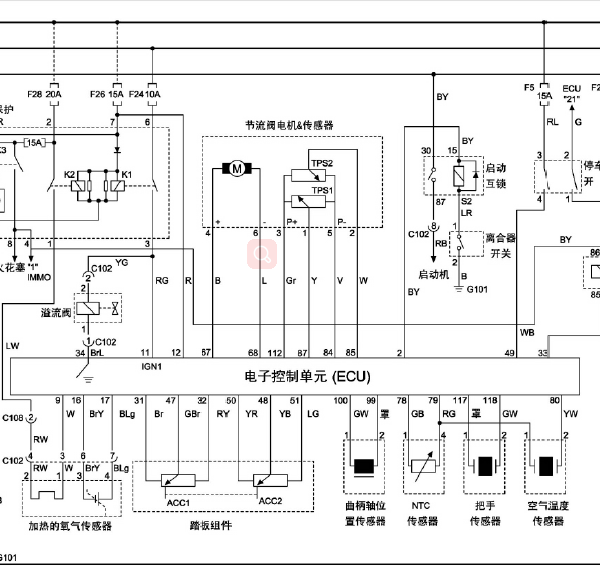 M161G23D发动机线路图