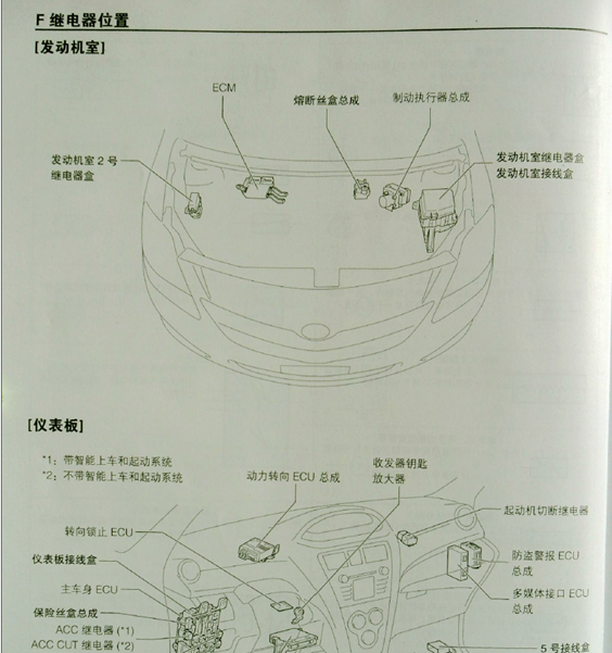 2010年威驰保险位置