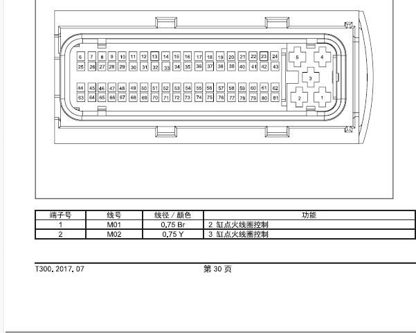 17年众泰T300 81针脚定义图
