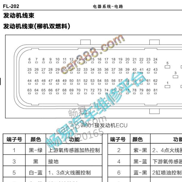 2013年福特驭菱 双燃料发动机针脚