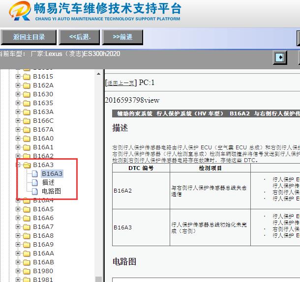 2020年ES300h 行人保护B16A3故障码资料