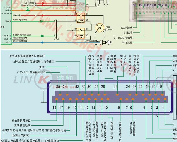 金杯491发动机电路图