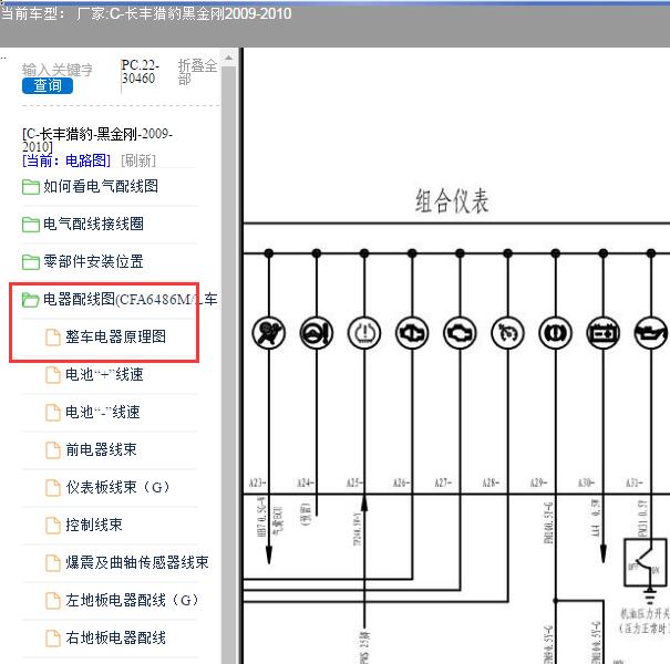 2009年猎豹黑金刚仪表电路图