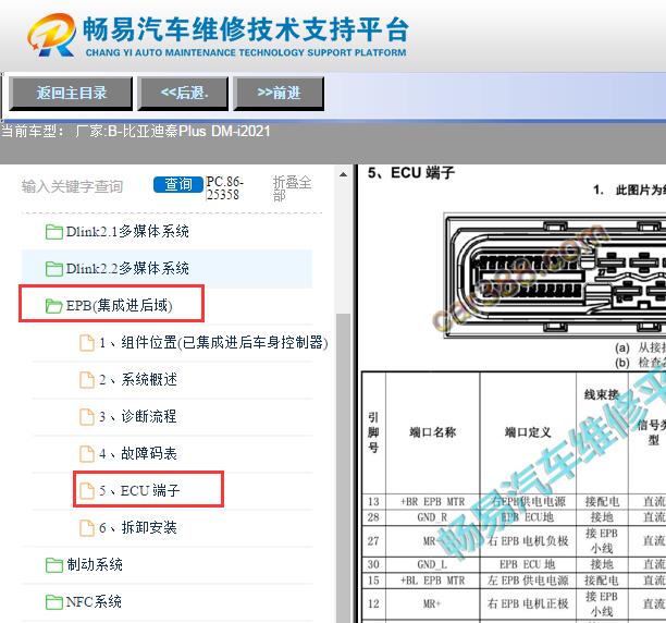 2021年比亚迪秦PLUS DM-i后车身控制模块针脚资料