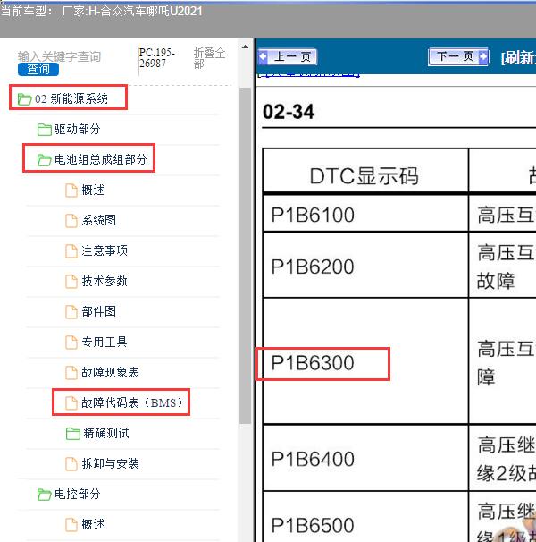 2021年合众汽车-哪吒U P1B6300故障码资料