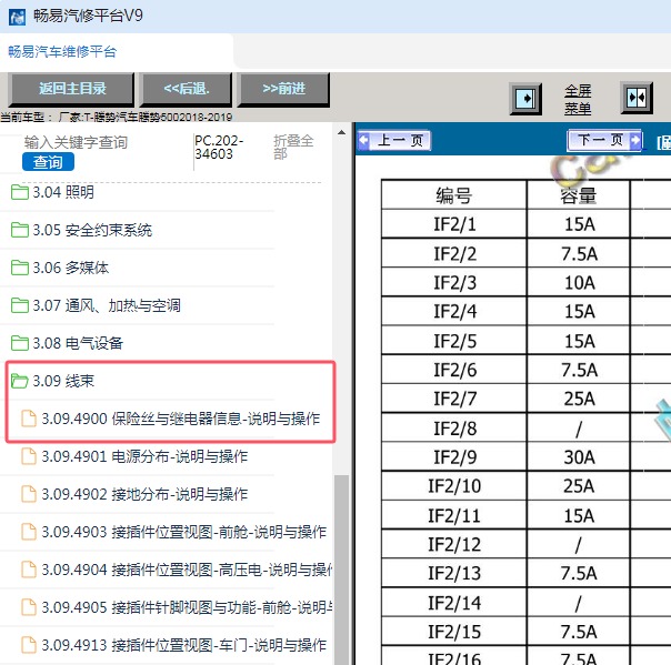 2018-2019年腾势汽车-腾势500 保险资料
