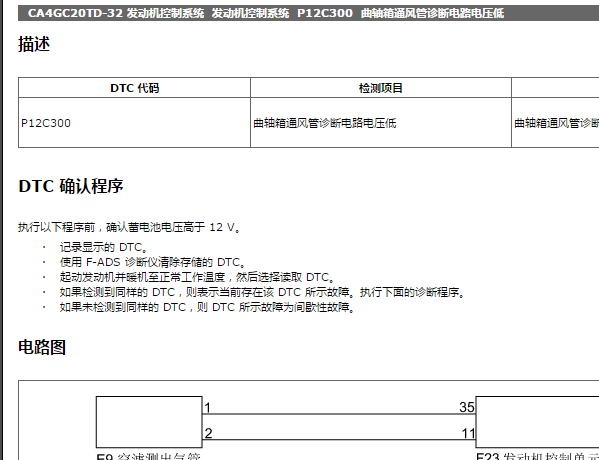 2020年奔腾T99 P12C300故障码资料