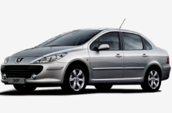 Peugeot(标致)-进口307